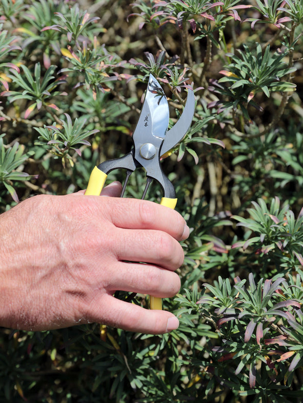 Niwaki GR Pro Secateurs
